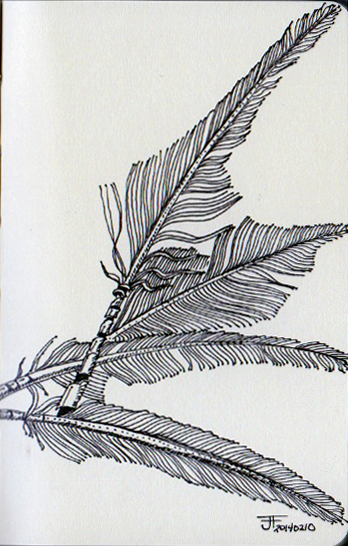 20140211_Feathers